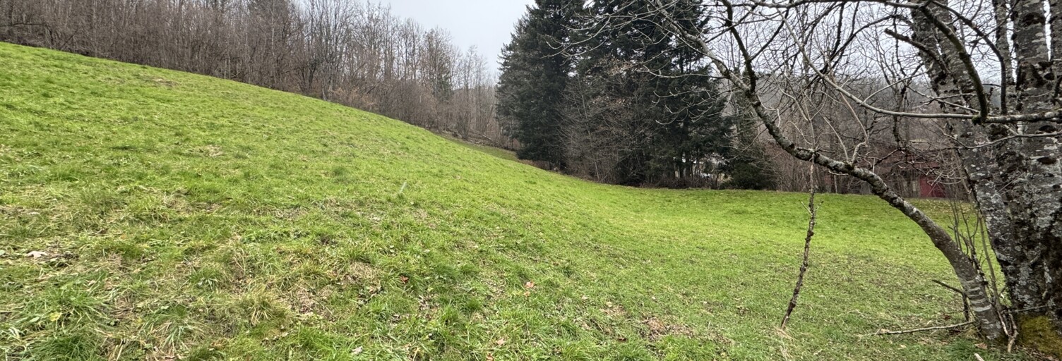 Terrain  6000 m² à vendre à La Bresse (88250)