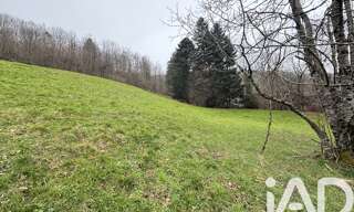 Terrain  6000 m² à vendre à La Bresse (88250)