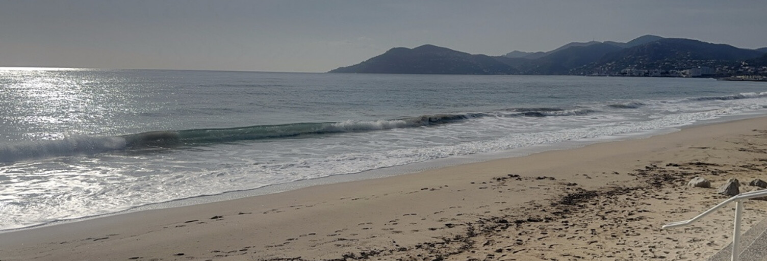 Appartement 2 Pièces 42 m² à vendre à Cannes (06400)