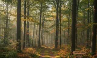 Terrain  36830 m² à vendre à Escles-Saint-Pierre (60220)