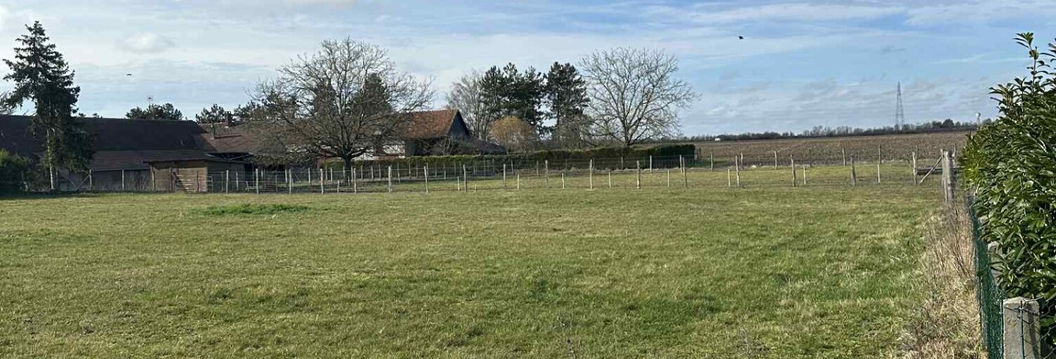 Terrain  2084 m² à vendre à Corquilleroy (45120)