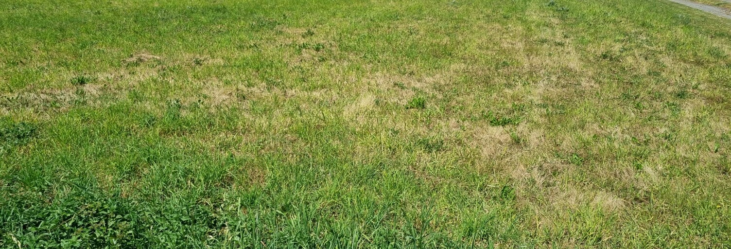 Terrain  1399 m² à vendre à Thénezay (79390)