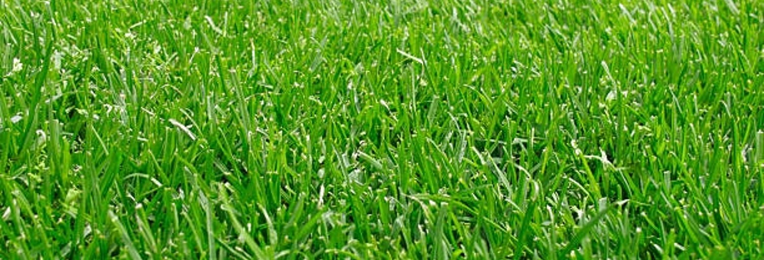 Terrain  1406 m² à vendre à Calmont (31560)