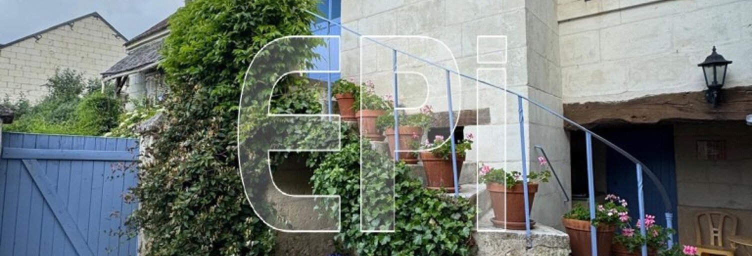 Maison 6 Pièces 236 m² à vendre à Chouzé-sur-Loire (37140)