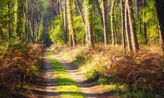 Appartement 3 Pièces 56 m² à vendre à Messanges (40660)