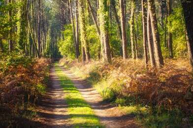 Appartement 3 pièces 240000 €