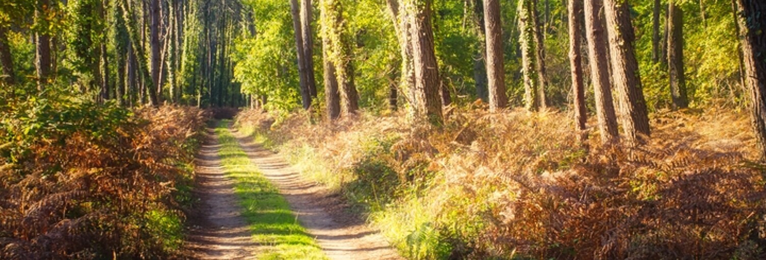 Appartement 3 Pièces 56 m² à vendre à Messanges (40660)