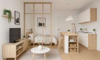 Appartement 1 Pièce 20 m² à vendre à Schiltigheim (67300)