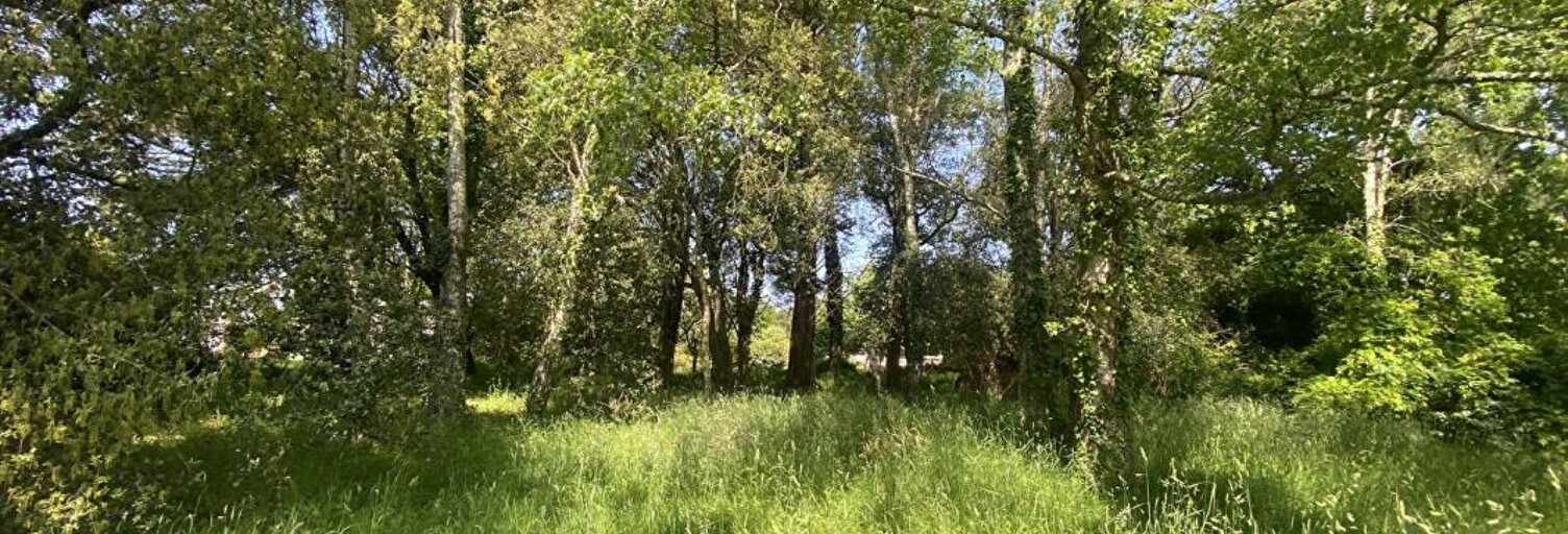 Terrain  1200 m² à vendre à Saint-Gildas-de-Rhuys (56730)