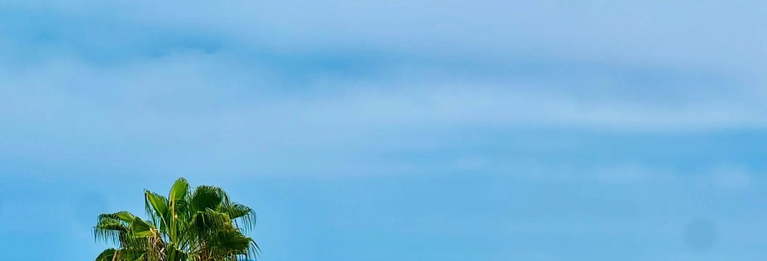 Appartement 3 Pièces 78 m² à vendre à Nice (06200)