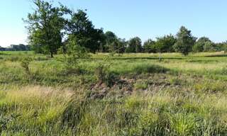 Terrain  1217 m² à vendre à Ygos-Saint-Saturnin (40110)