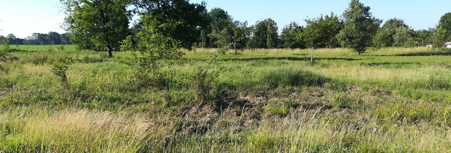 Terrain  1217 m² à vendre à Ygos-Saint-Saturnin (40110)