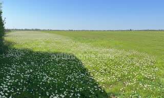 Terrain  618 m² à vendre à Saint-Laurent-de-la-Prée (17450)