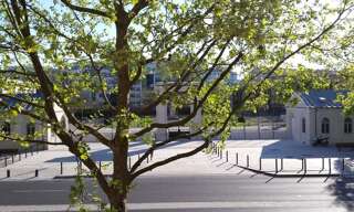 Appartement 3 Pièces 50 m² à louer à Maisons-Alfort (94700)