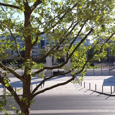 Appartement 3 pièces 1387 €