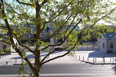 Appartement 3 pièces 1387 €