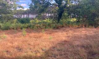 Terrain 500 m² à construire Salles (33770)