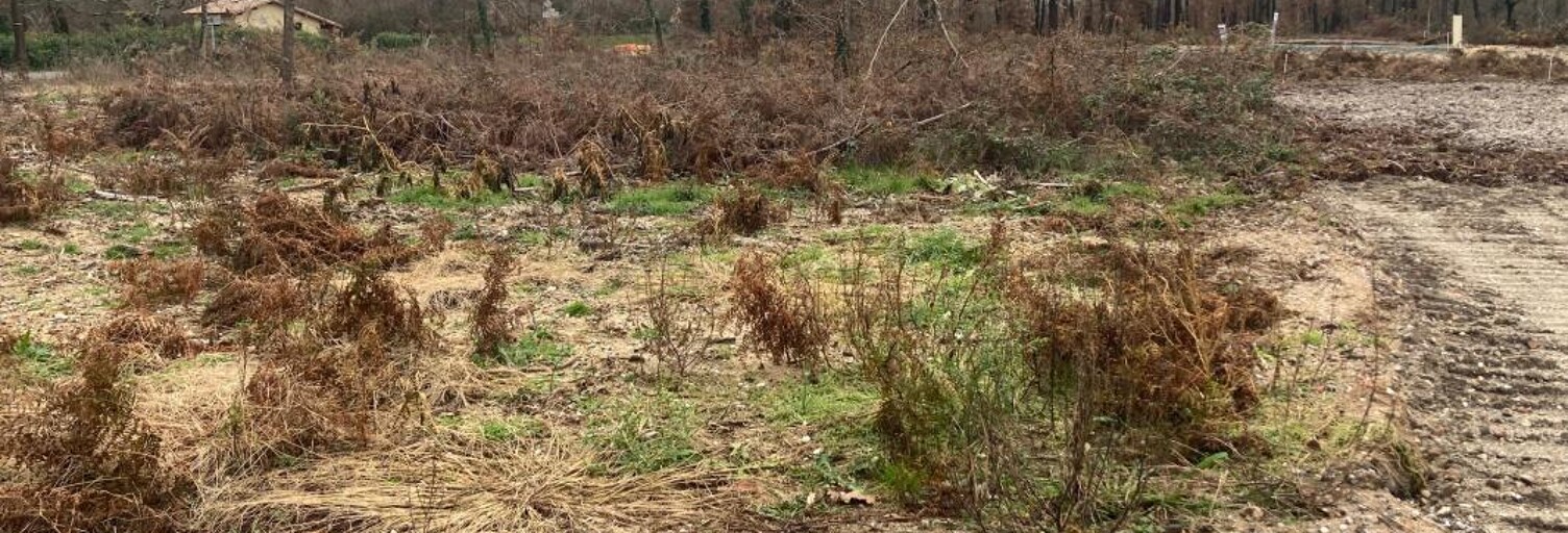 Terrain 405 m² à construire Biscarrosse (40600)