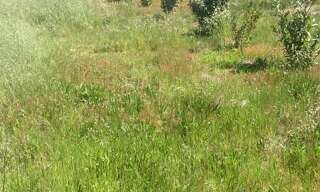 Terrain 500 m² à construire Biscarrosse (40600)