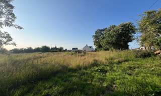 Terrain  905 m² à vendre à Saint-Dolay (56130)