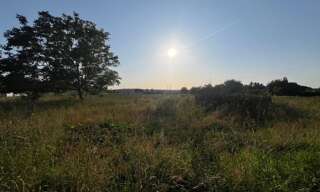 Terrain  905 m² à vendre à Saint-Dolay (56130)