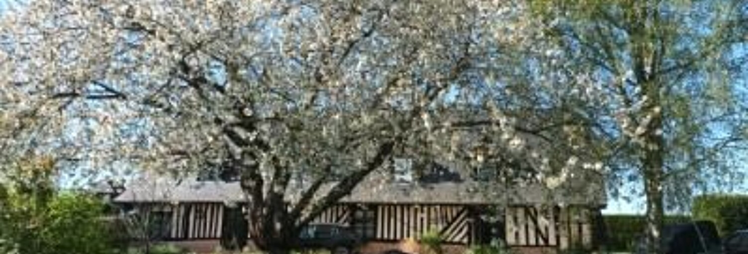 Maison 5 Pièces 170 m² à vendre à Saint-Georges-du-Vièvre (27450)