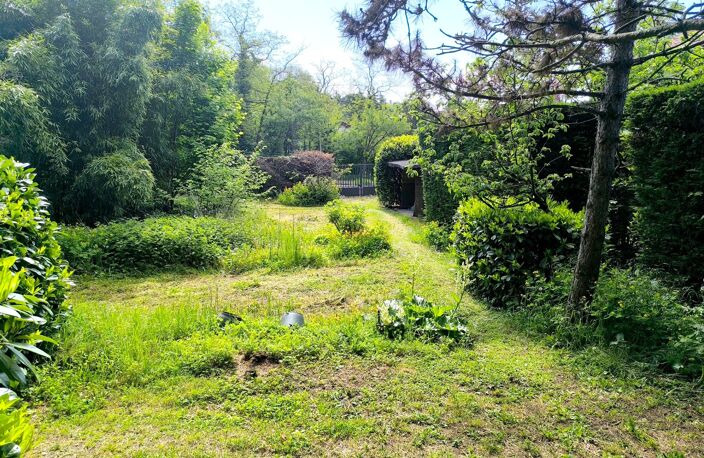 Saint-Didier-au-Mont-d'Or – Terrain constructible — photo 4