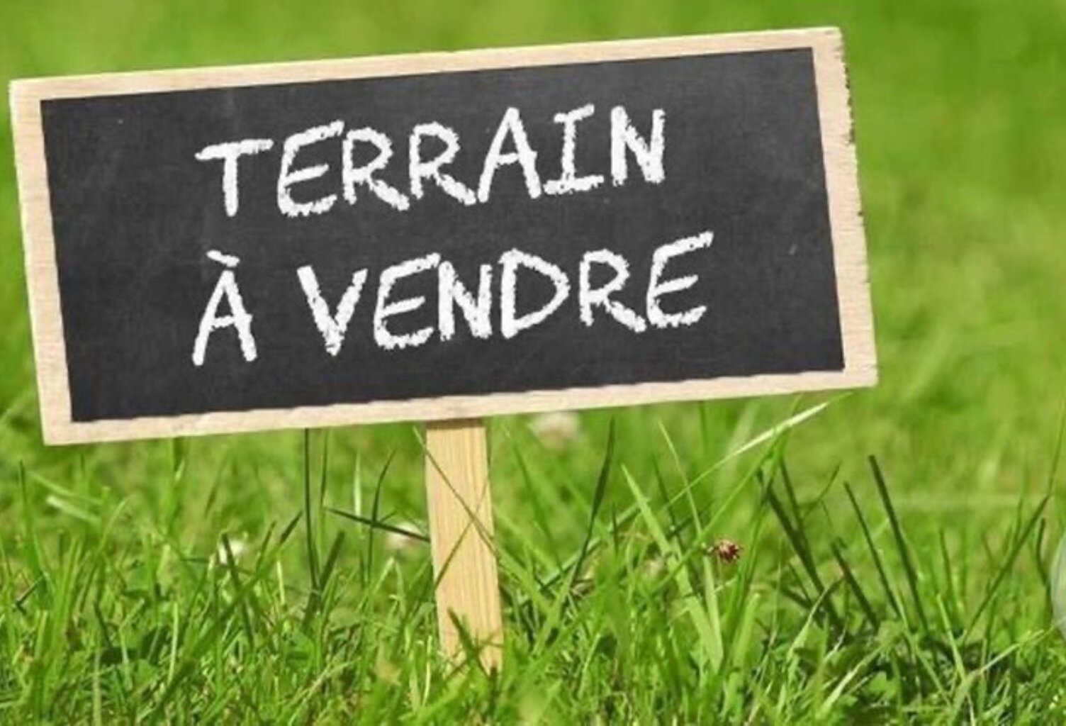 Terrain à vendre  PONTENX LES FORGES (40) — photo 1