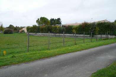 Terrain  66670 €