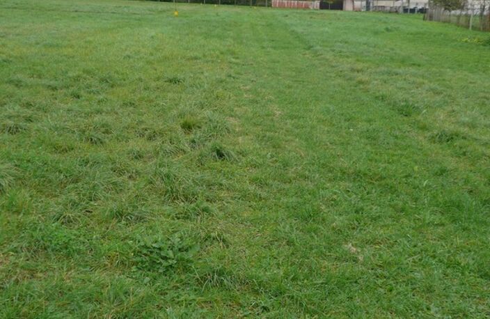 ⚜ SAINT LAURENT DE COGNAC A Vendre TERRAIN à Construire ⚜ — photo 3