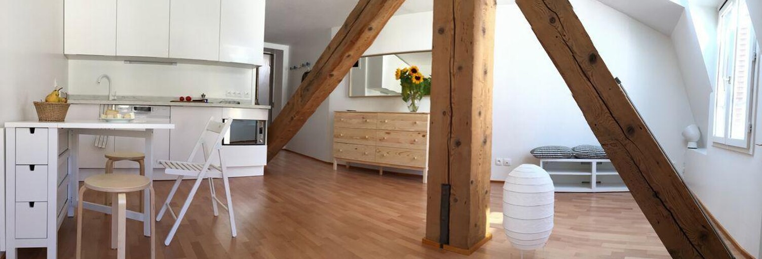 Appartement 1 Pièce 30 m² à louer à Lyon 1 (69001)