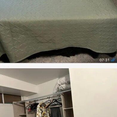 Appartement 1 pièces 395 €