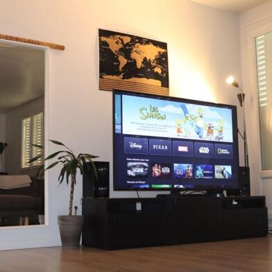 Appartement 1 pièces 650 €