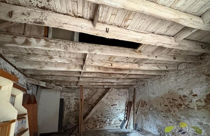 HAUTE VIENNE — photo 3