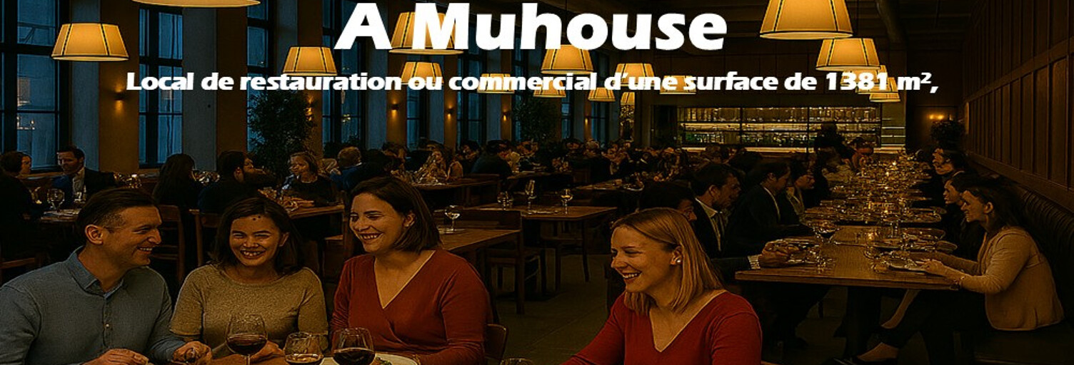Commerce  1381 m² à louer à Mulhouse (68200)