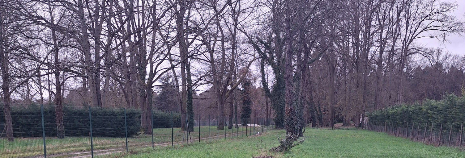 Terrain  1095 m² à vendre à Brain-sur-Allonnes (49650)