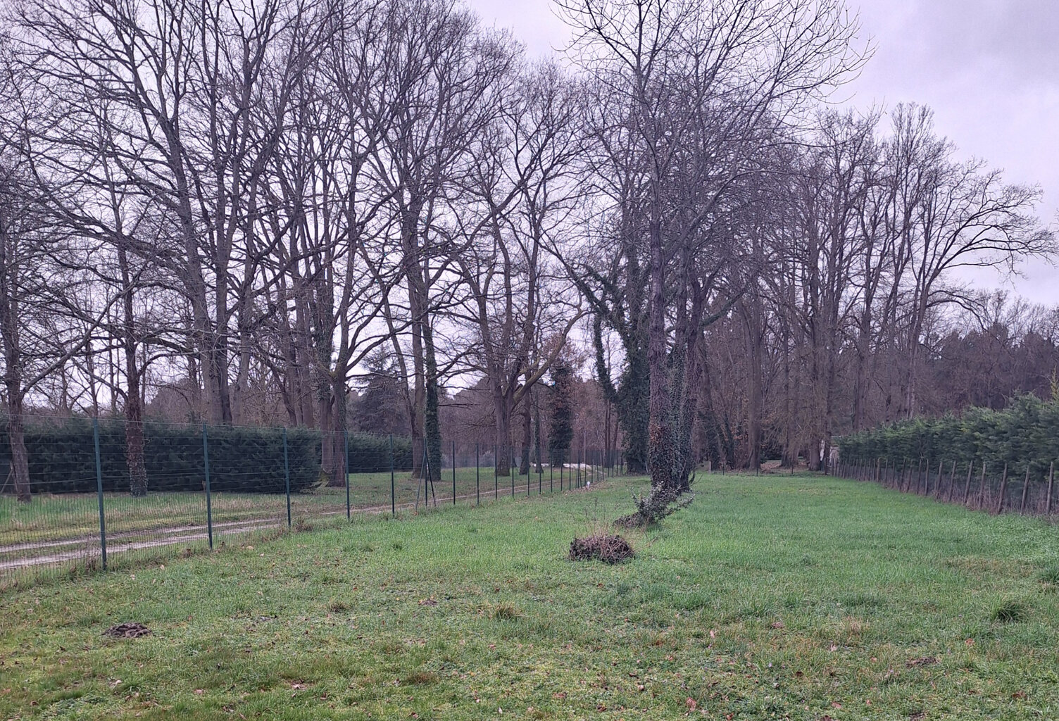 Terrain constructible de 1100 m2 — photo 1