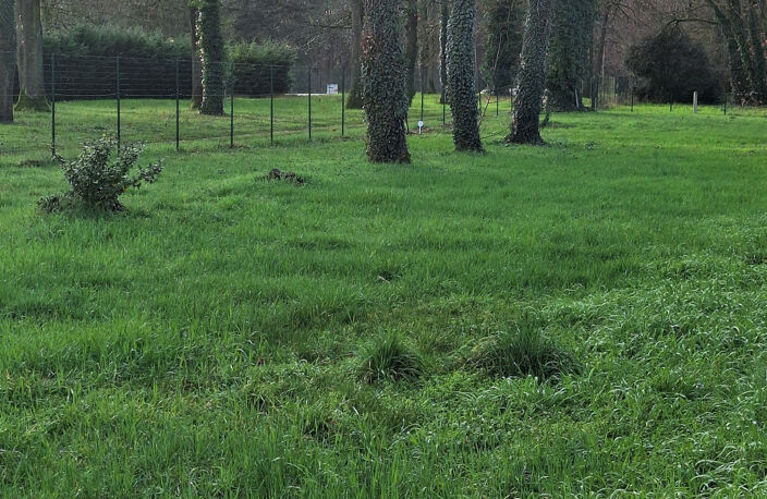 Terrain constructible de 1100 m2 — photo 2