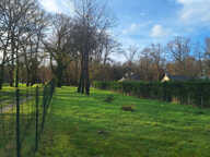 Terrain constructible de 1100 m2 — photo 3