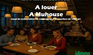 Commerce  1381 m² à louer à Mulhouse (68200)