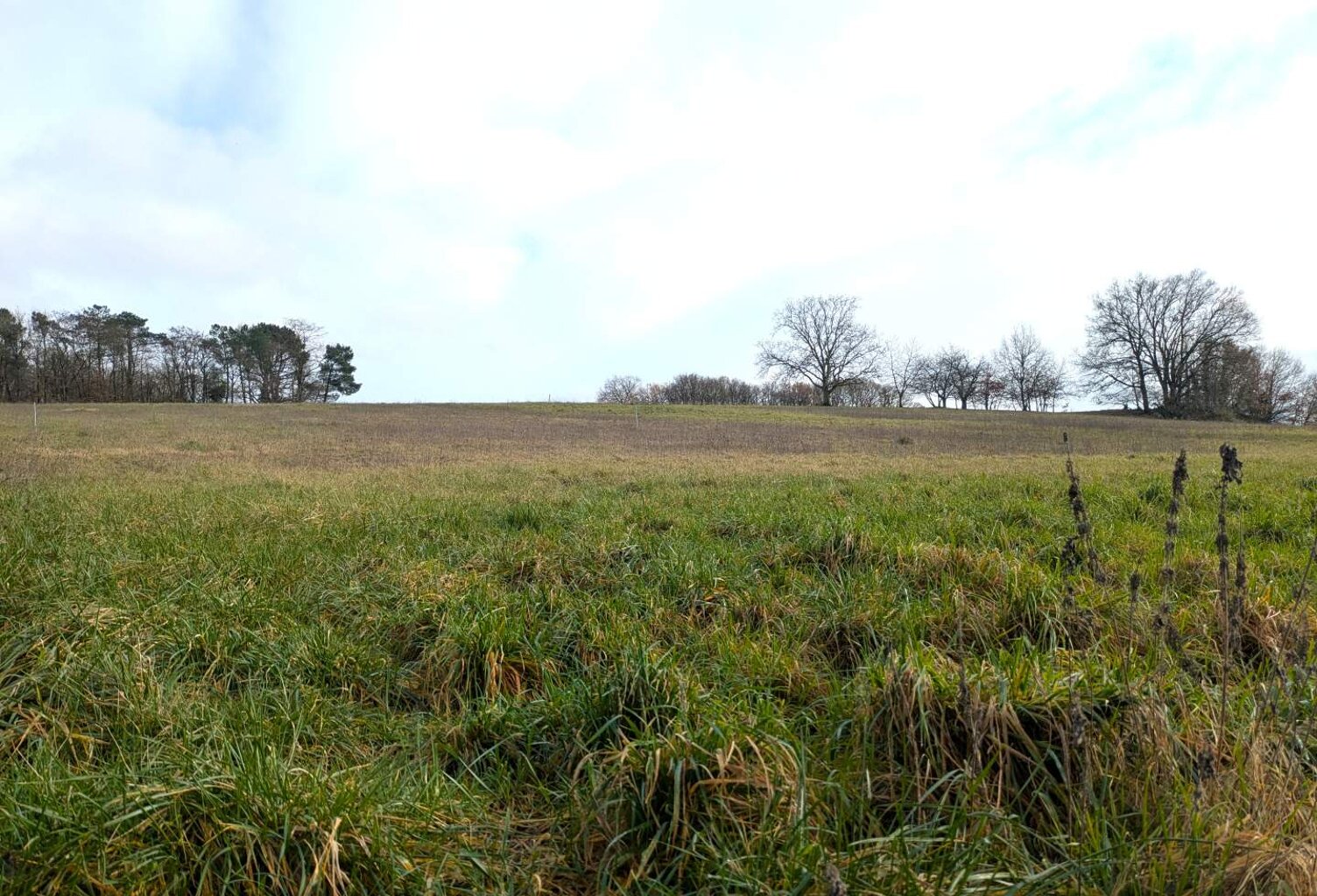 Vente terrain  844 m² Noyant-de-Touraine (37800) — photo 1