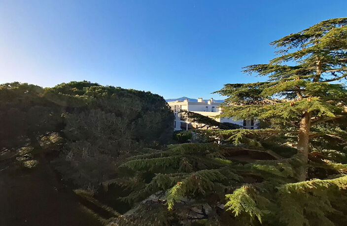 Saint Cyprien Plage T2 de 41m2 avec balcon plein SUD et Parking — photo 3