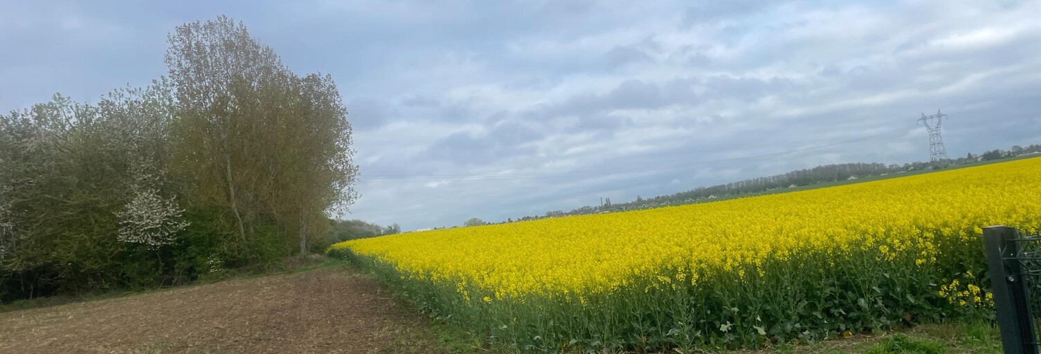 Terrain  780 m² à vendre à Billy-Montigny (62420)