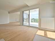 Votre futur chez vous de 117.5 m2 à Pessac Alouette — photo 3