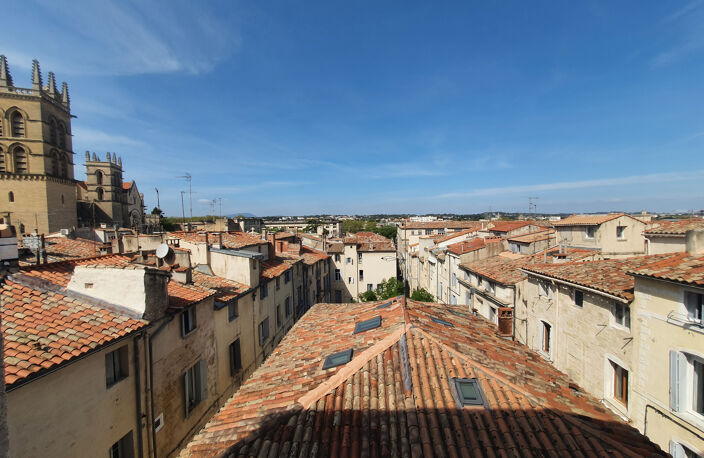 Dépt Hérault (34), à vendre MONTPELLIER Canourgue Appartemen — photo 5