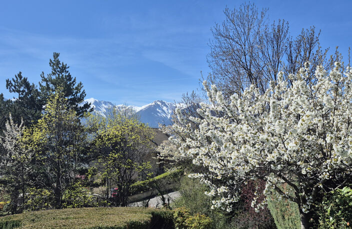 Maison À Vendre — photo 3