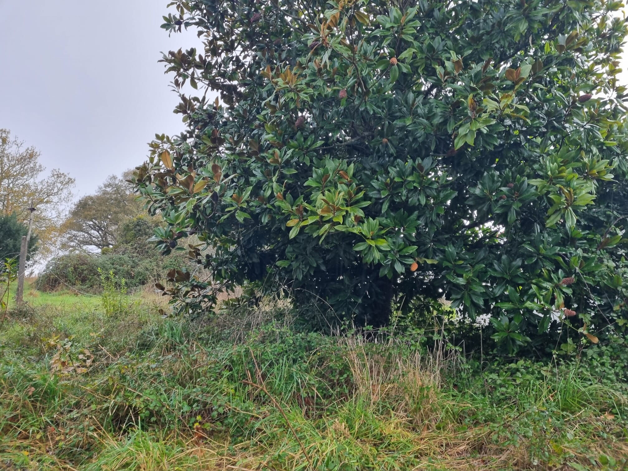 Agence immobilière de L'Etude Immobilière