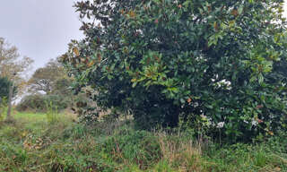 Terrain  1409 m² à vendre à Pontchâteau (44160)