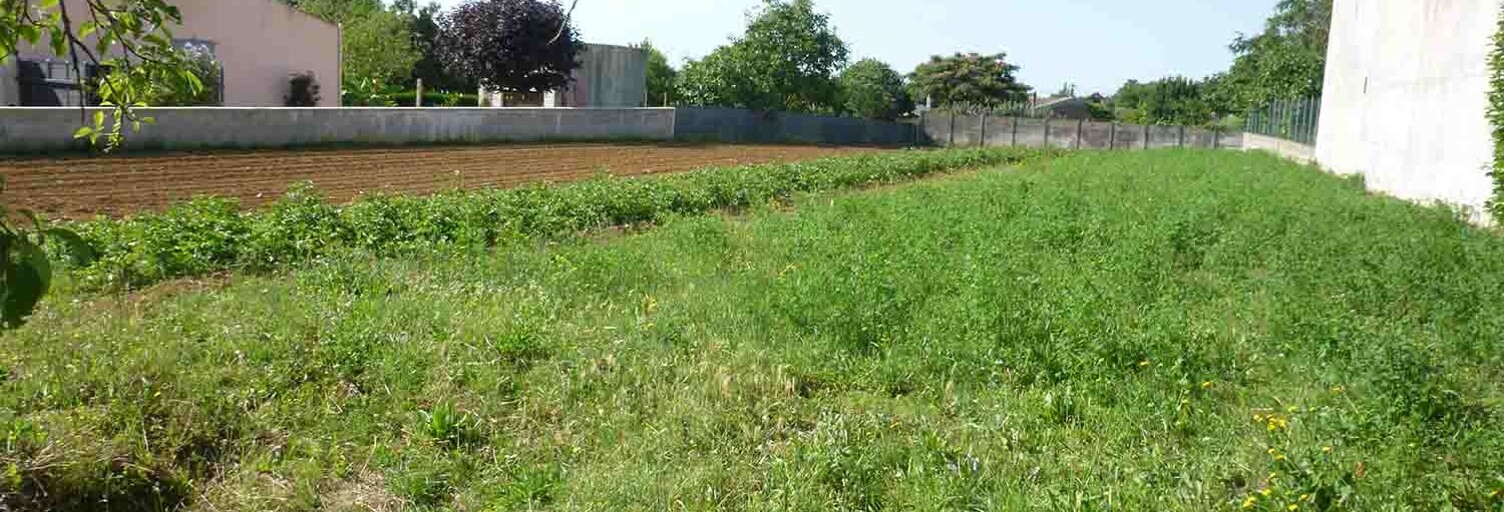 Terrain  1610 m² à vendre à Saint-Michel-le-Cloucq (85200)