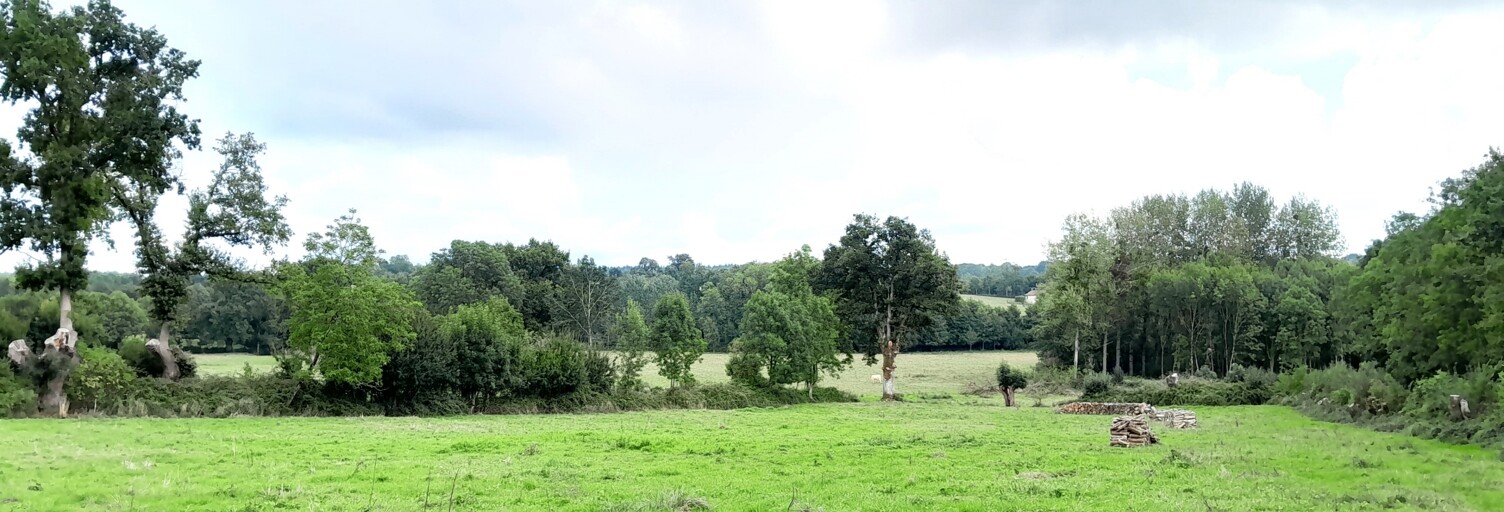 Terrain  1000 m² à vendre à La Boissière-en-Gâtine (79310)